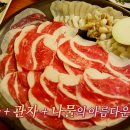 차돌 이미지