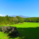 스카이골프 | 제주 롯데스카이힐CC 100% 조인 보장 골프 패키지 후기