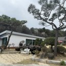 세련농장 이미지