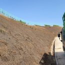 천우 태양광발전소 이미지