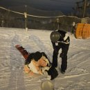 푸른솔목장 이미지