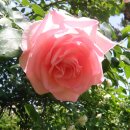 갈전농장 이미지