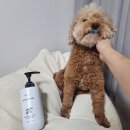 투스킨화장품 | 강아지 고양이 반려가족 겨울철 촉촉하게 이퓨럽 스킨투스킨 바디로션 후기