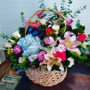 계림꽃농원 이미지