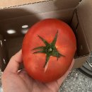 방배천로6길 38-1 이미지