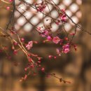 사랑-동행 이미지