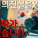 조선시대 백성은 가축에 불과했습니다. 이미지