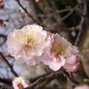 김해건설공업고등학교 이미지