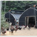 강원도 청계 농장 이미지