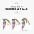 가위신현철쇼룸