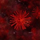 더선경약국 이미지