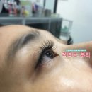 시크래쉬