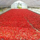 동희농장 이미지