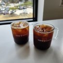 태인 애견 이미지