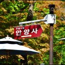 절터골2 티스토리