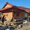 정희네 들꽃이야기 이미지