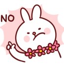 청라 공감 동물의료센터 이미지