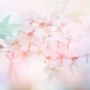 신영통부부한의원 이미지