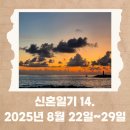 디딤스터디카페제주서귀포센터 | 신혼일기14. 처음 시댁 식구들과 1박2일. 서귀포 대정읍 맛집 구락, 강셰프의 키친, 한경면 카페 하이...