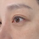 성정로 | 천안속눈썹 뷰러펌 고민말고 여기로 유목민 봉띠끄 정착 후기