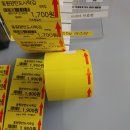 창성(애견) 이미지