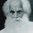 푸리바바 이미지