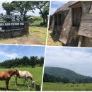 유민목장 이미지