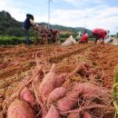 지리산농협 APC 이미지