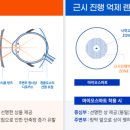 온양안경 이미지