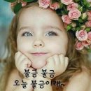 비.에스짐