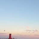 시골맛집물회 | [고성] 아야진해변 근처 가성비 횟집 찾는다면 해녀횟집으로! 강원도 고성 물회 맛집 후기