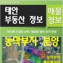 창리유일부동산공인중개사사무소 이미지