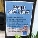 태후사랑염색두피