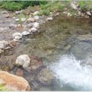 영일공인중개사사무소 이미지