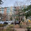 압구정-124 이미지