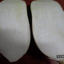 일반농장 Daum카페