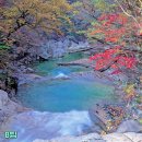 *****가야산소리길-남산제1봉 단풍*****25년 11월19일(수)07시20분(시청)-07시30분(운동장1문) 이미지