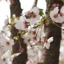 신설동역 12번출구 이미지