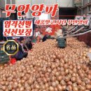 양파 이미지