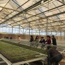 금백농장 이미지