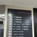 곰돌이약국 이미지