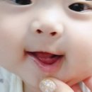 보듬치과의원 | 옥정 아이보듬 어린이치과 후기 : 소아 유치발치, 아랫니 안 흔들리는데 영구치가 먼저?