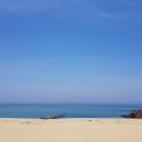 정동진팔도횟집