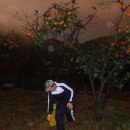 동기농장 이미지