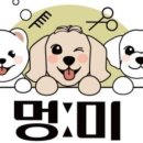 멍미 대구대곡역점 이미지