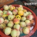 동의건강원 이미지