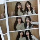 꽃잎하나 이미지
