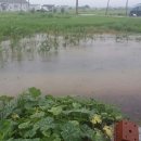 호수농장 이미지