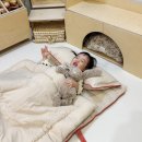 리틀포시즌 이미지