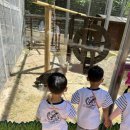 5월31일 울산대공원 동물원 이미지